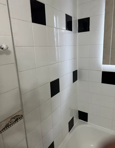 Tukwila Shower Remodel