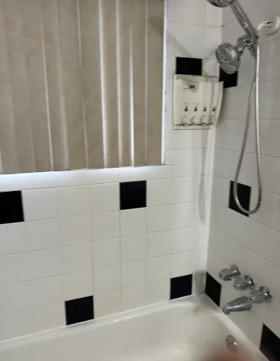 Tukwila Shower Remodel